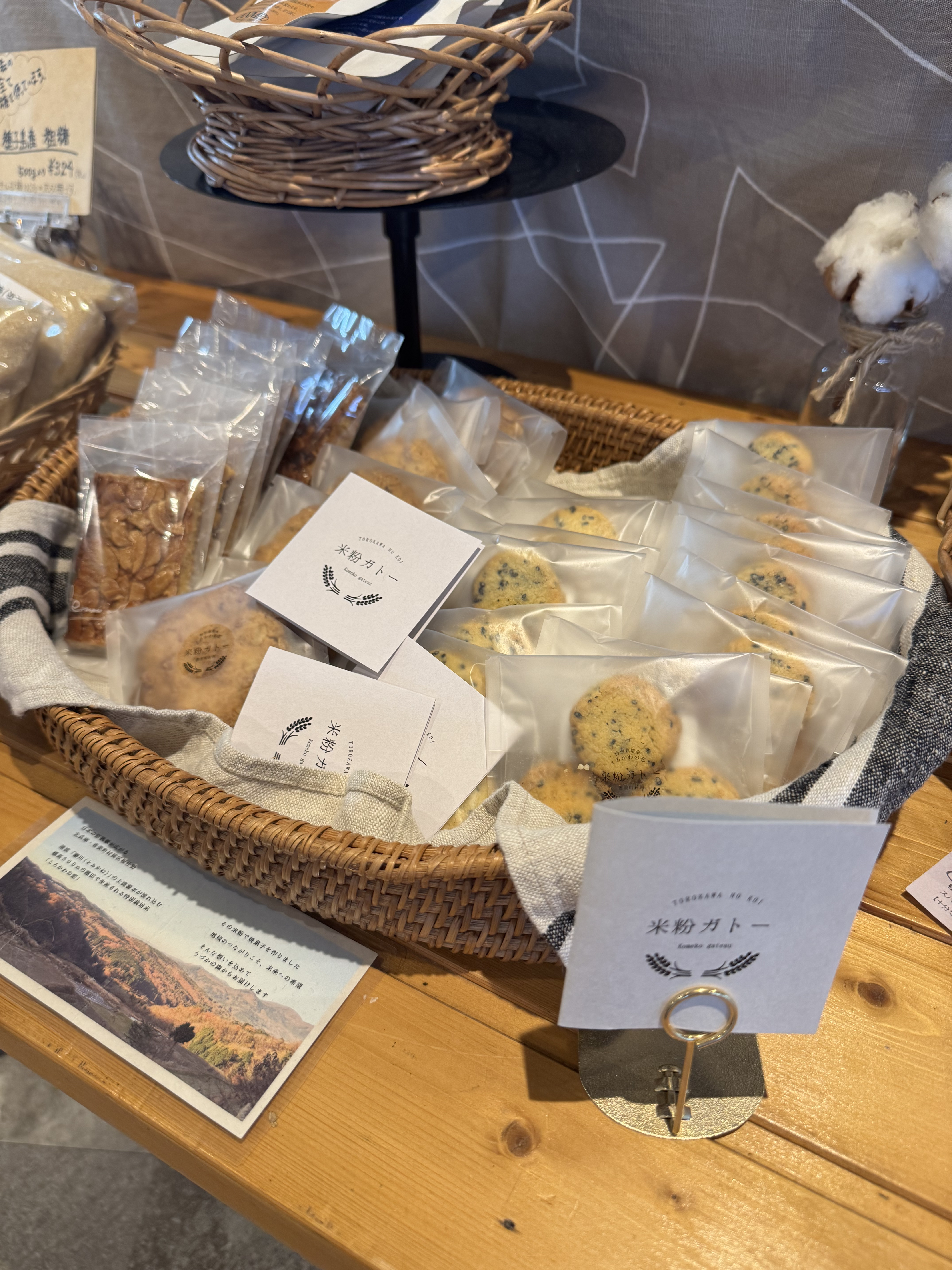 今、目指しているうづかの森から始まる地域経済