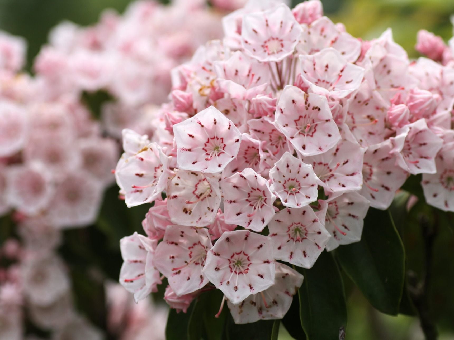 お店のお名前に込めたオーナーの優しさ