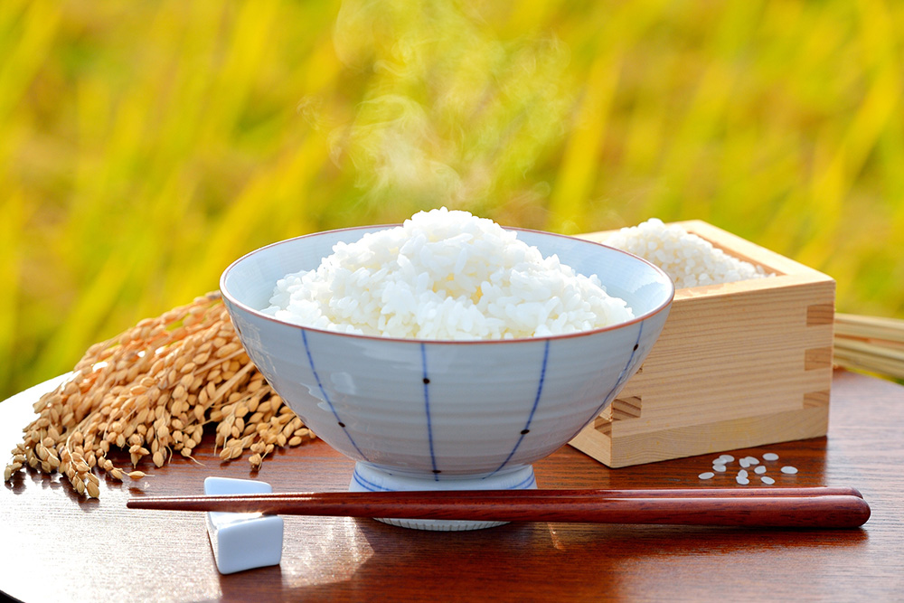 市川町産 コシヒカリ 10kg