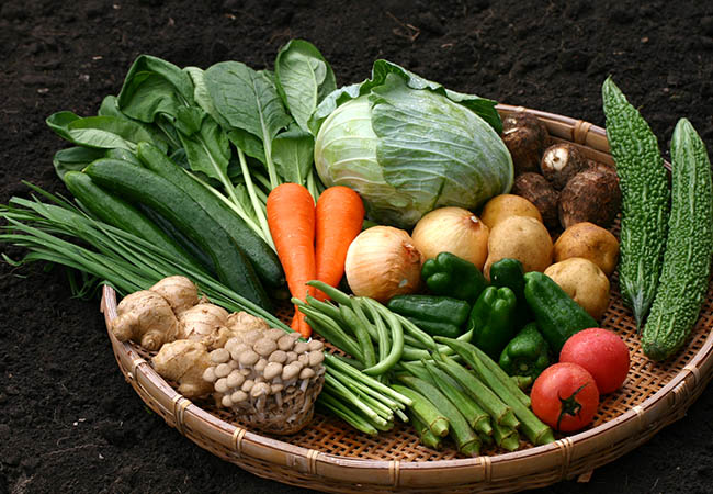 神戸市西区の野菜詰め合わせ 5kg