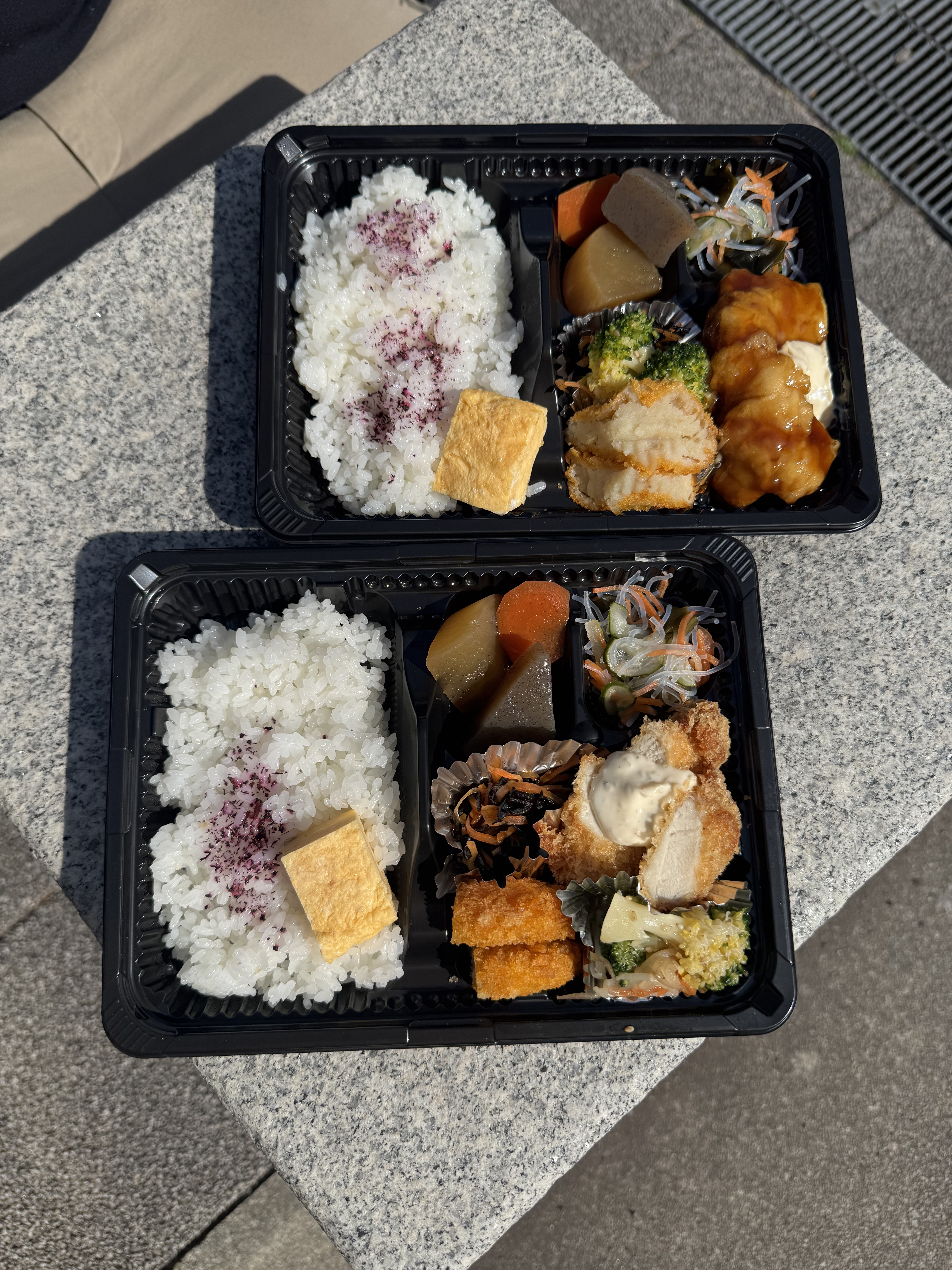 時代に逆らう驚愕のお弁当