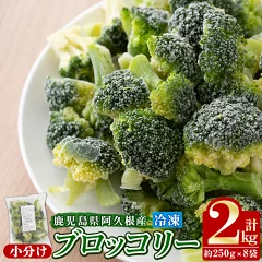 指定野菜にもなったブロッコリーを安くお得にふるさと納税